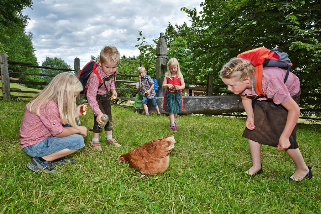 Viele kleine Tiere... - ... wirst Du im Freilichtmuseum in Kramsach finden. - © Museum Tirole Bauernhöfe / G. Grießenböck